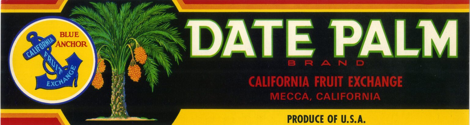 Date Palm